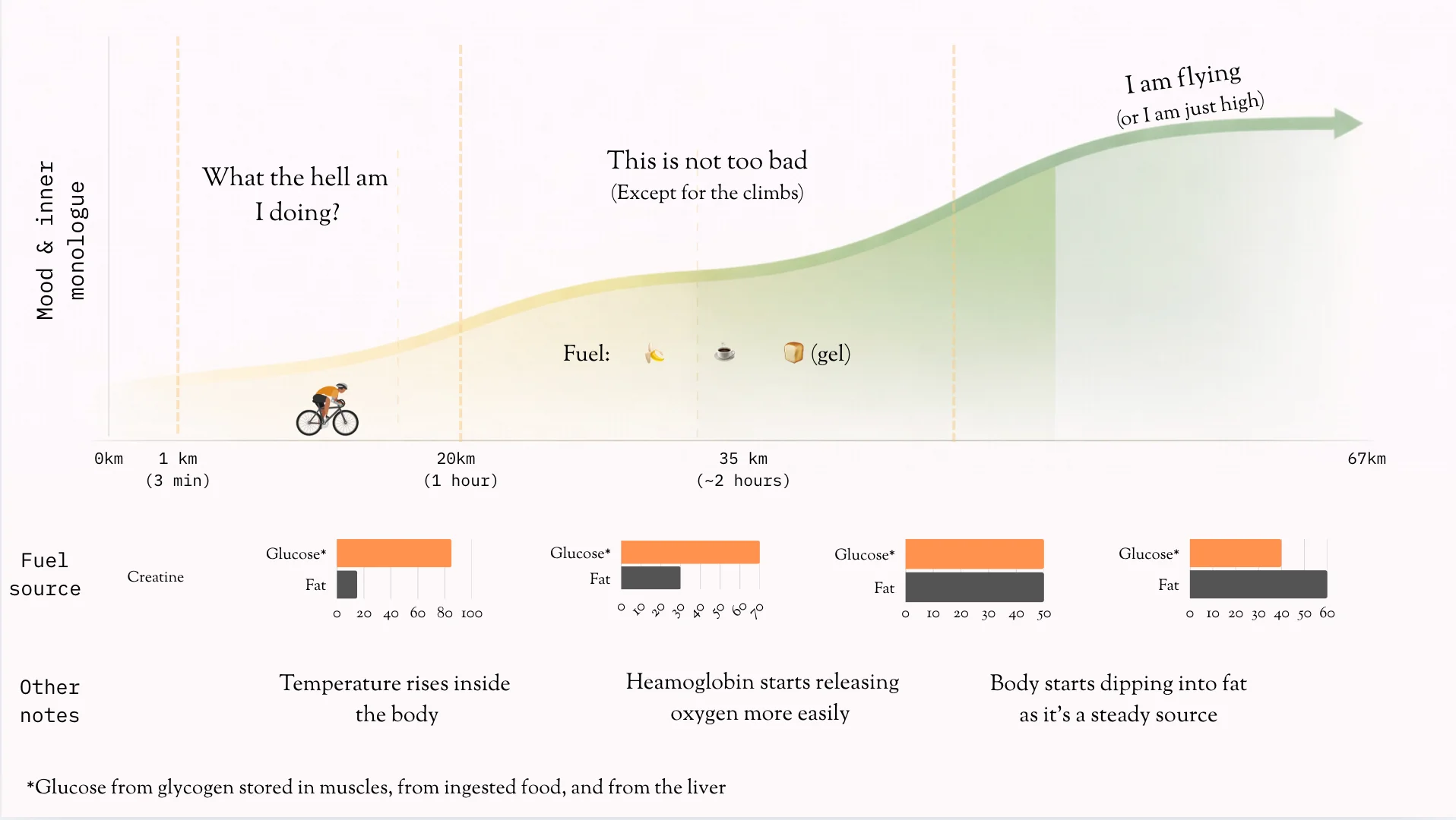 Mood and fuel journey during a 67km ride