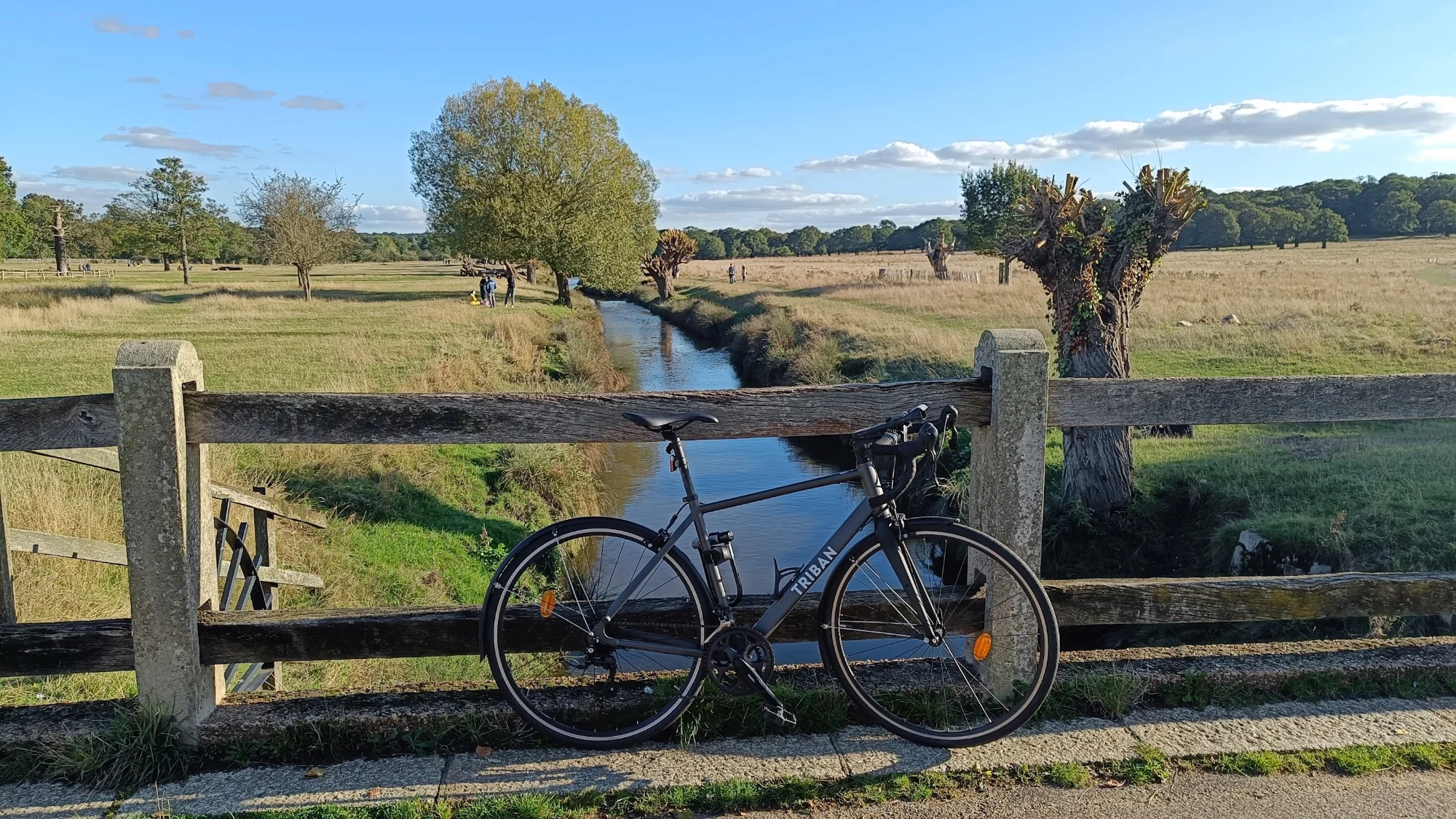 Richmond Park with my bike